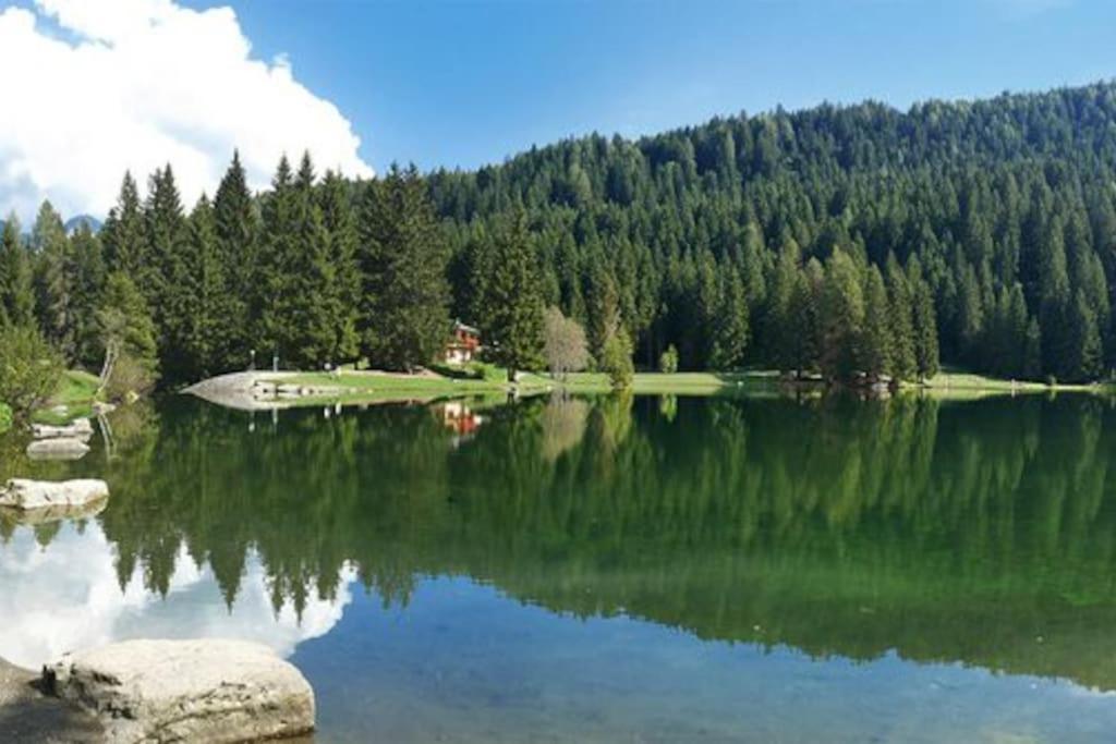 Chalet Rustico Bertolini Per Gruppi! Villa Vermiglio Exterior photo