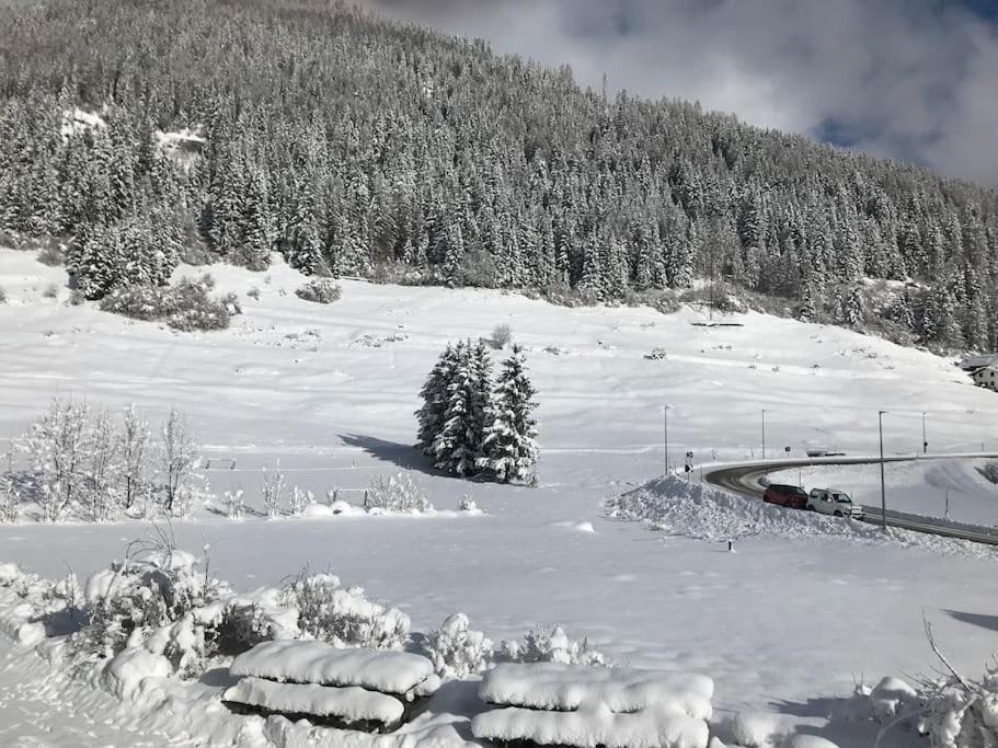 Chalet Rustico Bertolini Per Gruppi! Villa Vermiglio Exterior photo